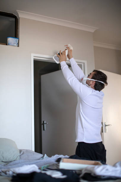 Professional Mold Removal in Three Way, TN