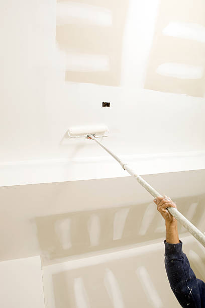 Best Basement Mold Removal  in Three Way, TN