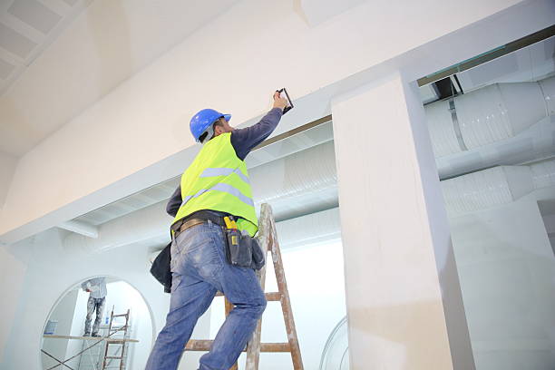 Best Mold Remediation for Healthcare Facilities  in Three Way, TN