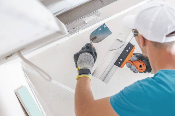 Best Mold Odor Removal Services  in Three Way, TN